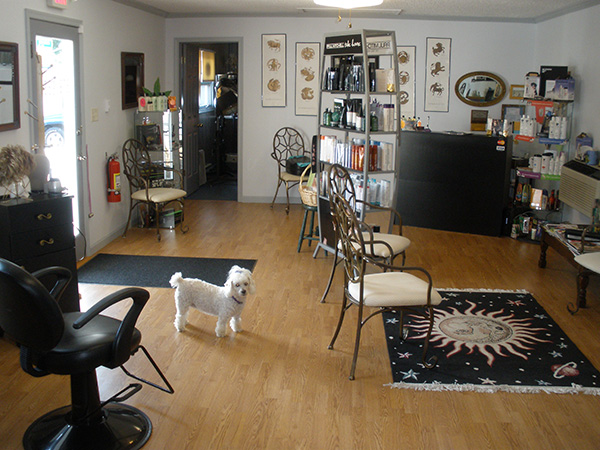 Inside Kindred Salon Pet Care